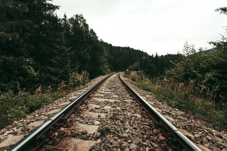 Photo of train rails in country landscape in the middle of forest with trees on background. Train rails crossing dark and old forest in Europe. Vintage photo of rails.の写真素材