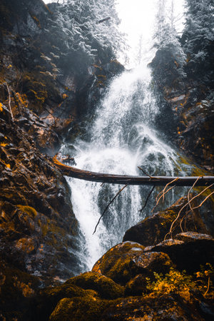 Beautiful and powerful snow covered waterfall with frozen and foggy pine trees all around. Mountain...