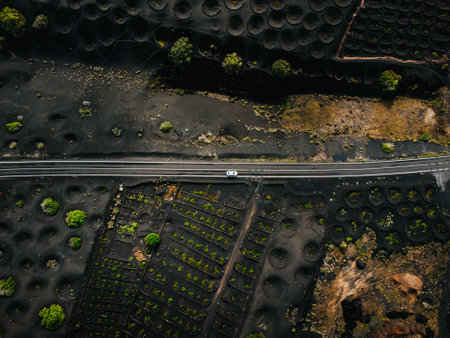 White car on the road in wine yards on Lanzarote (La geria region) from above by drone. Straight road among the lavas and  wine fields on the sides in Canary Islands - dark and black country.の写真素材