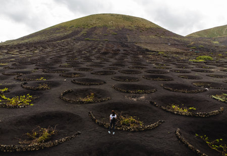 Volcanic vineyard of La geria region in Lanzarote - Canary Islands with hills and woman turist on background.の写真素材