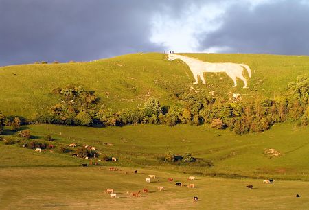 Westbury White Horse in Wiltshire Englandの写真素材