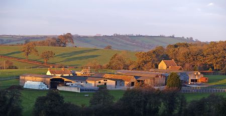 English farm caught in golden lightの写真素材
