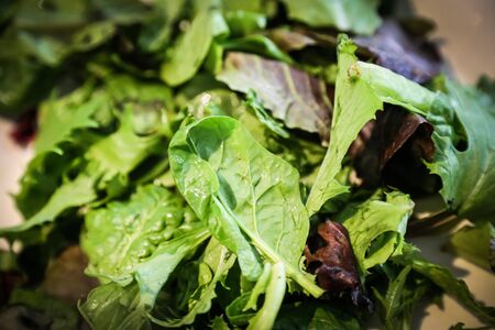 Lettuce mix spring lettuce mix washed and on a chopping boardの写真素材