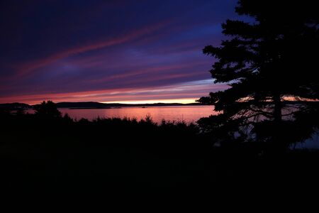 Sunsetting over the ocean with silhouette of the treesの写真素材
