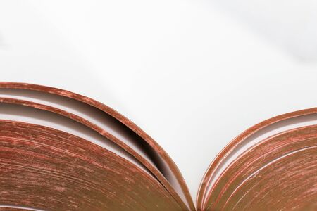 Macro over bible pages, open book with gold gilded pages.の写真素材