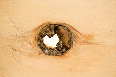 Wood knot macro. Close up of a wood knot in pine.