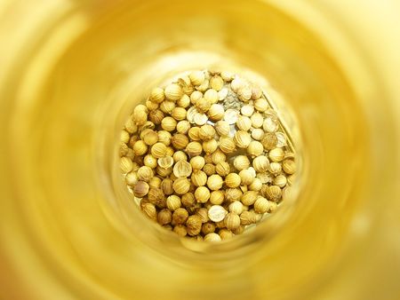 coriandreの写真素材