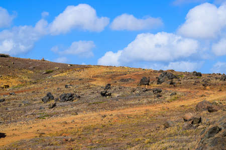 Arikok Natural Park on the island of Aruba in the Caribbean Sea with deserts and ocean waves on the rocky coastの写真素材