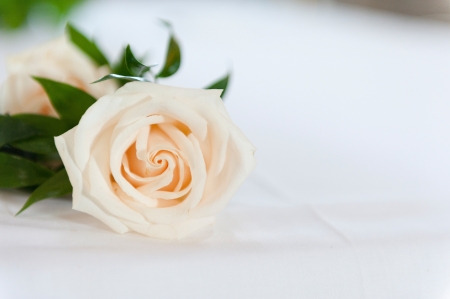 white roses bouquet の写真素材
