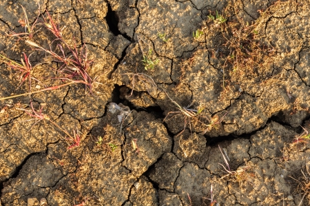 Cracked dry soilの写真素材