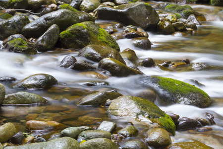 Stone surrounded by mossy water stream in a woodの写真素材