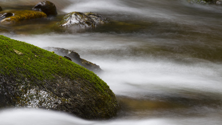 Stone surrounded by mossy water stream in a woodの写真素材