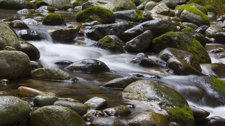 Stone surrounded by mossy water stream in a woodの写真素材