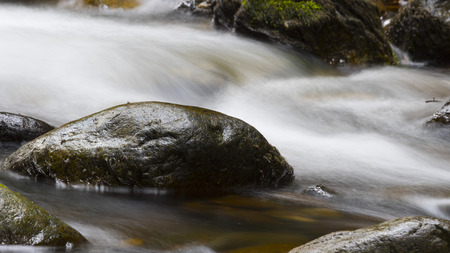 Stone surrounded by mossy water stream in a woodの写真素材