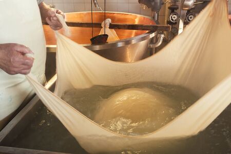 Production of cheese