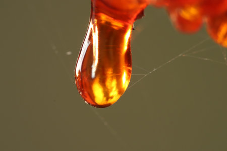 Macro of a drop of amber colored resin from which cobweb threads startの写真素材