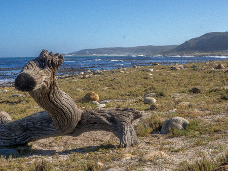 good hopeの写真素材