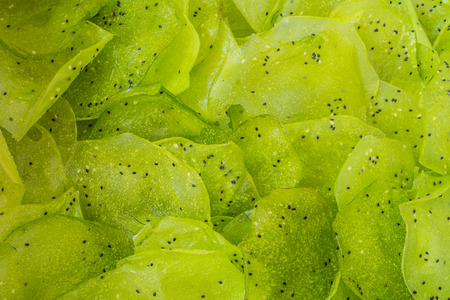 Northern Thai Snack \"Khao Kheab\"の写真素材