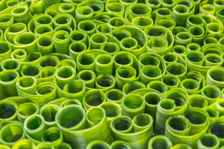 Cut tube chive leaves focus on the centerの写真素材