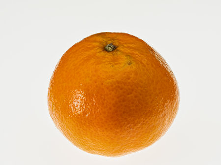 A tangerine isolated against a white backgroundの写真素材