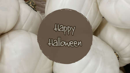 Trick or Treat Halloween message with white pumpkins in the background. Celebrate October 31 with...