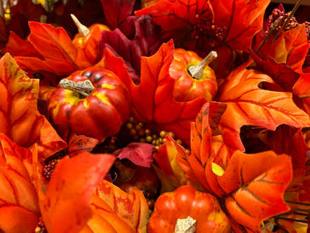 Vibrant oranage and red leaves with miniature pumpkins - Perfect background to add your personal...
