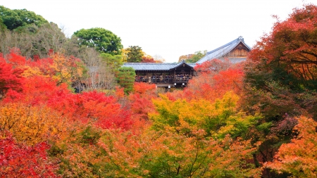 Tsutenkyo Bridge during autumn at Tofukuji Templeのeditorial素材