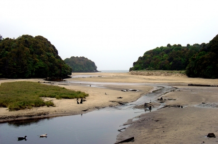 Stewart Island's Untouched Landscape, Stewart Island off the Southern Coast of Invercargill, New Zealandの写真素材