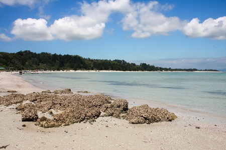 Rangiputa Beach on a beautiful sunny day, Northland, New Zealandの写真素材