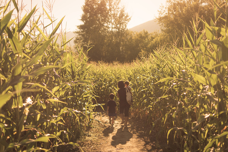 Family In A Cornfieldの写真素材