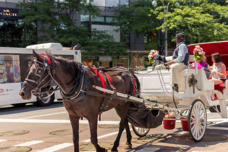New York, NY / USA - July 24, 2019: Horse Carriage In Central Parkのeditorial素材