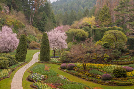 Beautiful spring garden with blooming trees and flowerbeds.の写真素材