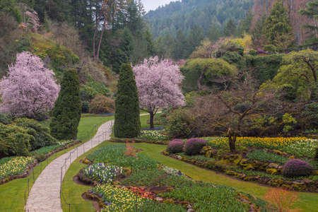 Beautiful spring garden with blooming trees and flowerbeds.の写真素材