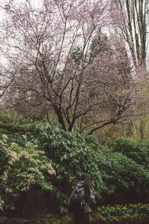 A young girl with a camera in her hands walks through the spring garden.の写真素材