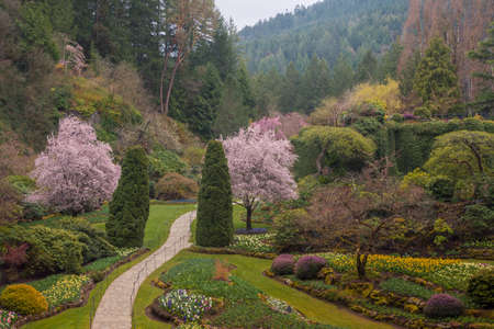 Beautiful spring garden with blooming trees, flowers and paths.の写真素材
