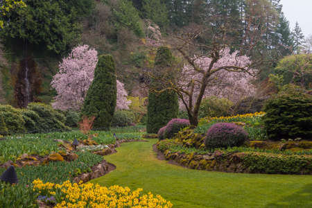 Beautiful spring landscape in the park with blooming trees and flowers
