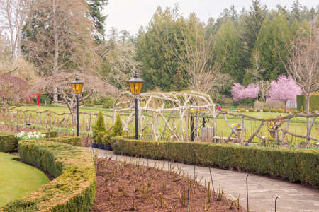 Lanterns on a walkway in a park in springの写真素材
