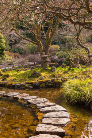 Japanese garden with a small pond and a stone bridge in the foreground