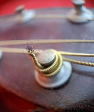 Guitar strings macro close up