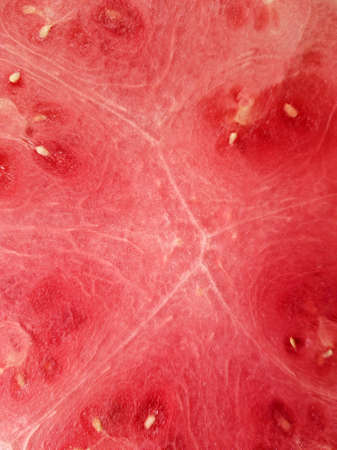 red watermelon background