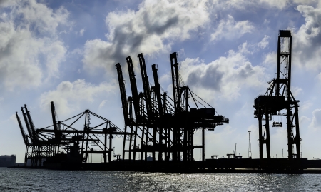 silhouette of cranes at harbor docksのeditorial素材