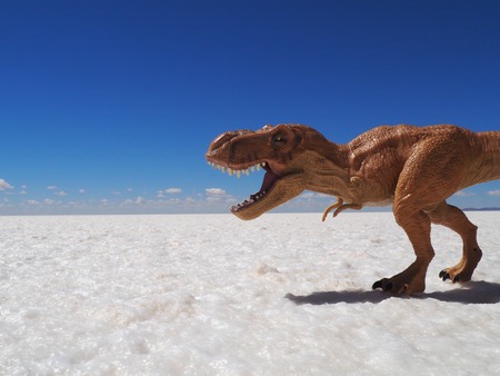 Dinosaur in the Salar de Uyuni, Boliviaの写真素材