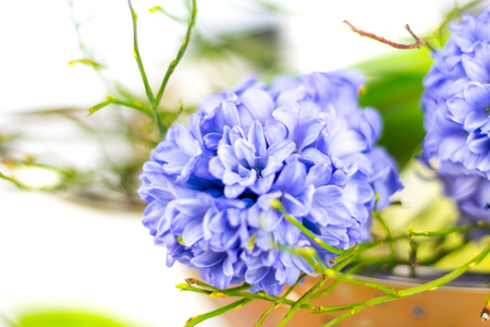 Bouquet of purple hyacinths in a copper bowl against white background.の写真素材