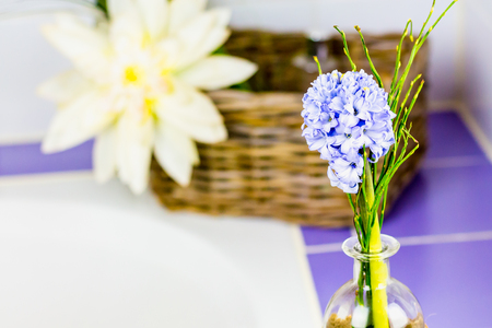 Purple hyacinth and a book at a bathtub.の写真素材