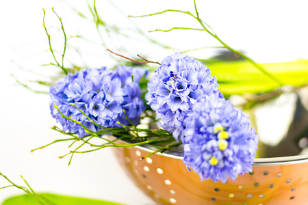 Bouquet of purple hyacinths in a copper bowl against white background.の写真素材
