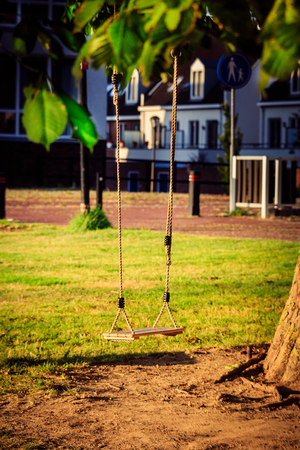 Empty swing under a tree.の写真素材