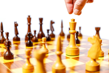 Wooden chess pieces on a chessboard with white background