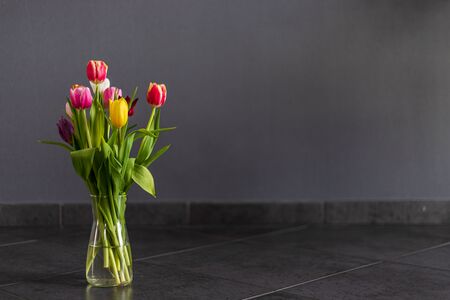 A bunch of coloful tulips in front of a grey wall with copy spaceの写真素材