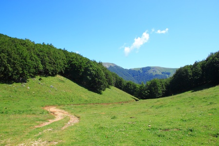 A footpath is lost in the vegetation in a green valleyの写真素材