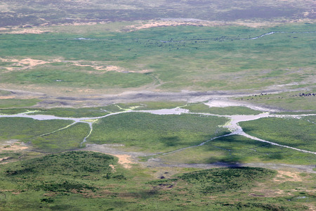 View of Ngorongoro crater, Tanzania, from the rim with the Munge Stream meandering between the vegetationの写真素材